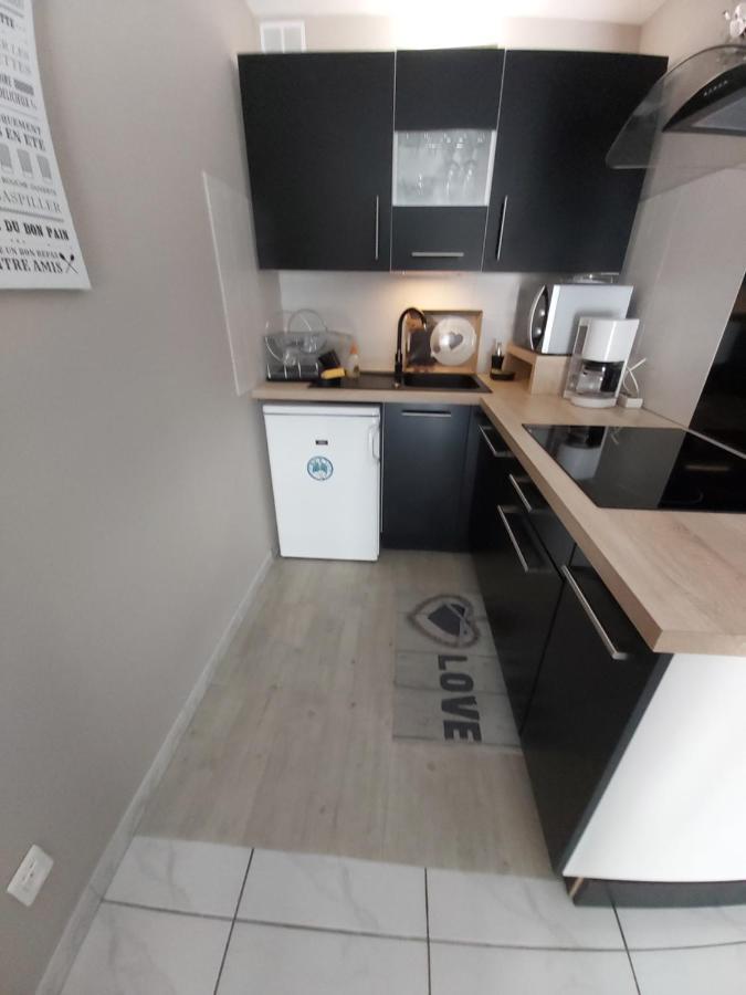 :) Grand Studio Lumineux A Toulouse Et Parking Bagian luar foto