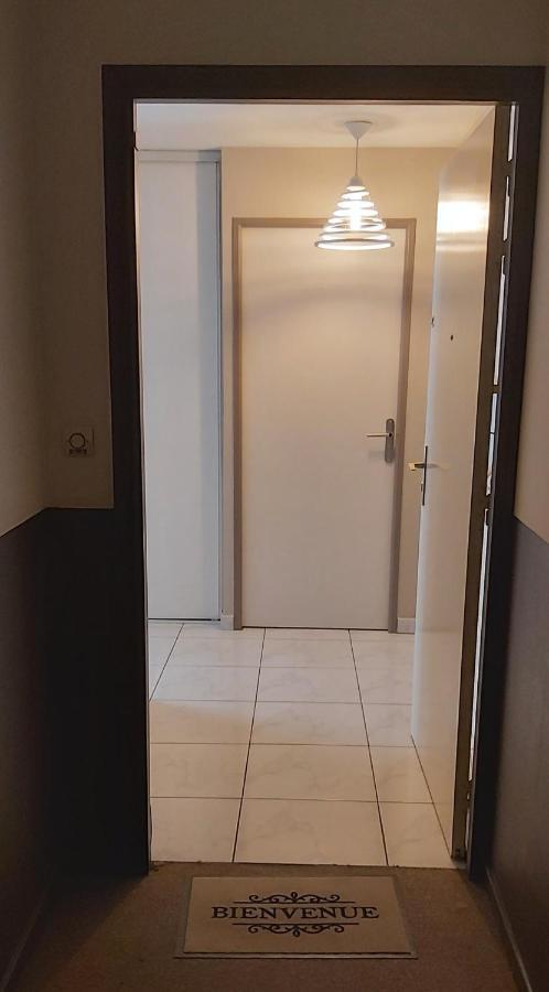 :) Grand Studio Lumineux A Toulouse Et Parking Bagian luar foto